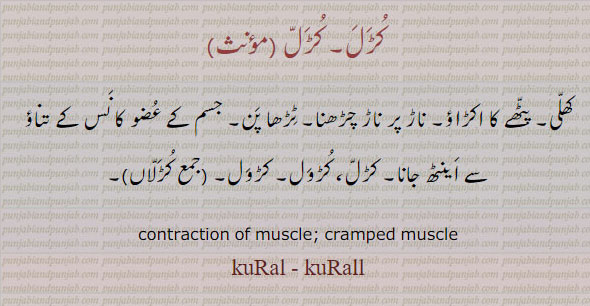 ਕੁੜਲ,contraction of muscle. cramped muscle. kural. kurall. کھلی۔ کڑل۔ پٹھے کا اکڑاؤ۔ ناڑ پر ناڑ۔ ٹڑھا پن۔ نس کا تناؤ۔ اینٹھ جانا۔ کڑول۔ کڑلاں۔ کُڑلّاں۔