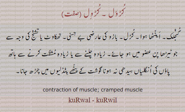 ਕੁੜਵਲ,ਕੁੜਵਿਲ, contraction of muscle. cramped muscle. kurwal. kurwil. گنجلک، اینٹھا ہوا۔ کڑل۔ بازو کی عارضی بے حسی۔ تھکاوٹ تشنج ۔ پنڈلیوں میں گوشت چڑھ جانا۔