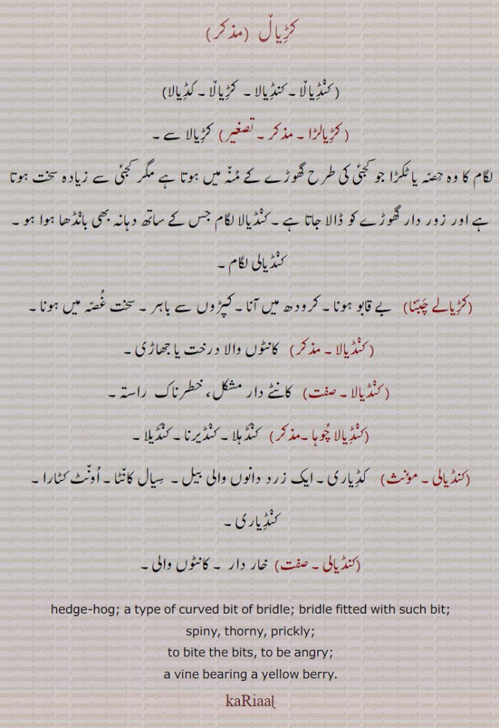  kariaal, ਕੜਿਆਲ਼, kaDiaala, ਕਡ਼ਿਆਲਾ, kaNDiaala, ਕੰਡਿਆਲ਼ਾ, kaRiaala, ਕੜਿਆਲ਼ਾ ,kariaalRa,ਕੜੀਆਲੜਾ,
hedgehog. type of curved bit of bridle, spiny, throny. prickly. angry. vine bearing yellow berry, thistle, unt kataara.,oont kataara,Echinops echinatus,  کڑیال۔ کنڈیالا۔ کڑیالا۔ کڈیالا۔ کڑیالڑا۔ لگام کا ٹکڑا جو کجئ کی طرح گھوڑے کے منہ۔ کنڈیالا لگام کنڈیالی لگام۔ کیالے چبنا۔ بے قابو ہونا کرودھ ۔ پڑوں دے باہر۔ کانٹوں والا درخت یا جھاڑی۔ کانٹے دار خطرناک راستہ۔ کڈیاری۔ زرد دانوں والی بیل۔ سیال کانٹا۔ اونٹ کٹارا۔ کڈیاری۔ کاردار۔