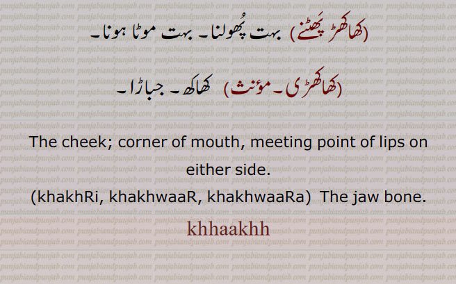 The cheek; corner of mouth, meeting point of lips on either side., khakhRi, khakhwaaR, khakhwaaRa,  The jaw bone.,khaakh,khhaakhh,khhakhh,khaakh, khakh, ਖਾਖ, khakhwaaR, khakhwaaRa, ਖਖਵਾਡ਼, ਖਖਵਾਡ਼ਾ,