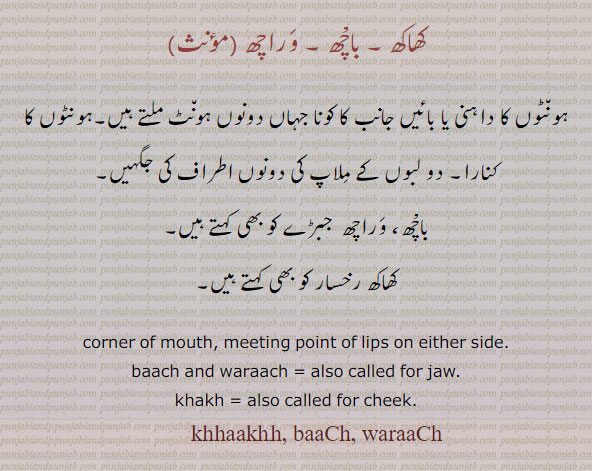 کھاکھ ۔ باچھ ۔ وراچھ
ہون٘ٹوں کا داہنی یا بائیں جانب کا کونا جہاں دونوں ہون٘ٹ ملتے ہیں۔ہونٹوں کا کنارا۔ دو لبوں کے مِلاپ کی دونوں اطراف کی جگہیں۔
باچھ، وراچھ  جبڑے کو بھی کہتے ہیں۔
کھاکھ رخسار کو بھی کہتے ہیں۔
corner of mouth, meeting point of lips on either side.baach and waraach = also called for jaw.khakh = also called for cheek. khaakh, khakh, baaCh, waraaCh, khhaakhh,khaakh, ਖਾਖ, khakh, ਖਖ, baaCh, ਬਾਛ, waraaCh, ਵਰਾਛ