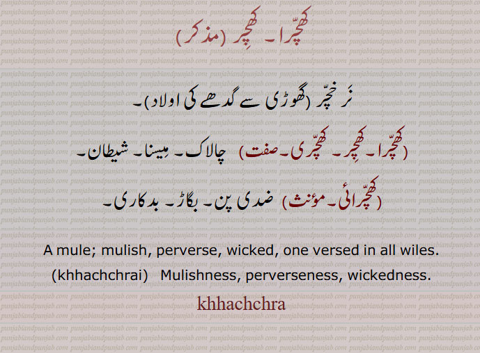 khachra ਖਚਰਾ, ਖਚਰਾਈ ,کھچرا۔ کھچر ,
نر خچر ,گھوڑی سے گدھے کی اولاد,کھچرا۔کھچِر۔ کھچری,  چالاک۔ میسنا۔ شیطان,کھچرائی, ضدی پن۔ بگاڑ۔ بدکاری۔
A mule; mulish, perverse, wicked, one versed in all wiles., khhachchrai,  Mulishness, perverseness, wickedness.
khhachchra,khachra,khachchra, khhachra