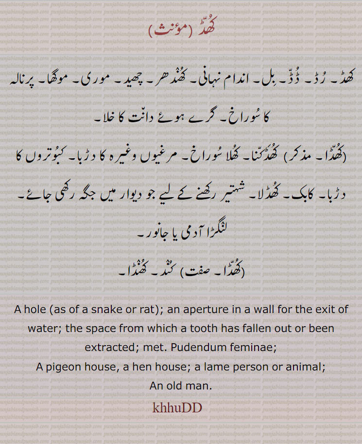 
کھڈ ,کھڈ۔ رڈ۔ ڈڈ۔ بل۔ اندام نہانی۔ کھندھر۔ چھید۔ موری۔ موگھا۔ پرنالہ کا سوراخ۔ گرے ہوئے دانت کا خلا,کھڈا,  کھڈکنا۔ کھلا سوراخ۔ مرغیوں وغیرہ کا دڑبا۔ کبوتروں کا دڑبا۔ کابک۔ کھڈلا۔ شہتیر رکھنے کے لیے جو دیوار میں جگہ رکھی جائے۔ لنگڑا آدمی یا جانور,کھڈا, کند۔ کھنڈا۔
A hole (as of a snake or rat); an aperture in a wall for the exit of water; the space from which a tooth has fallen out or been extracted; met. Pudendum feminae; 
A pigeon house, a hen house; a lame person or animal;
An old man. khuDD, khhudd., khaaD, ਖਾਡ, khaD, ਖਡ, khaDD, ਖੱਡ khuDD, ਖੁੱਡ, khuDDa, ਖੁੱਡਾ, khuDDha, ਖੁੱਢਾ, khuDhRa, ਖੁਢਡ਼ਾ ,khiDa, 