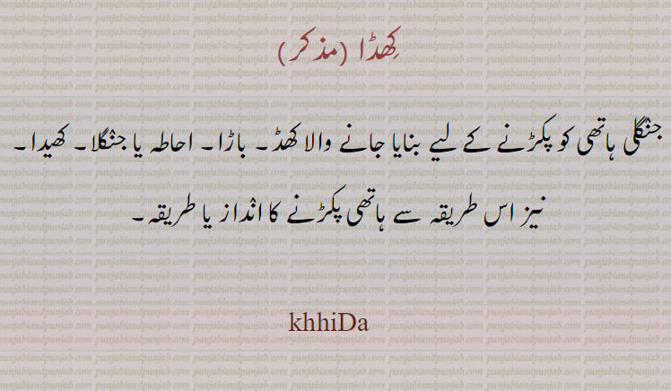 کھڈا, جنگلی ہاتھی کو پکڑنے کے لیے بنایا جانے والا کھڈ۔ باڑا۔ احاطہ یا جنگلا۔ کھیدا۔ نیز اس طریقہ سے ہاتھی پکڑنے کا انداز یا طریقہ۔
khiDa, khhida, khaaD, ਖਾਡ, khaD, ਖਡ, khaDD, ਖੱਡ khuDD, ਖੁੱਡ, khuDDa, ਖੁੱਡਾ, khuDDha, ਖੁੱਢਾ, khuDhRa, ਖੁਢਡ਼ਾ ,khiDa, 