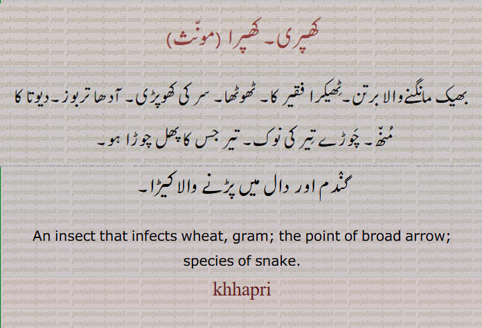  بھیک مانگنے والا برتن۔ ٹھاٹھا۔ سر کی کھوپڑی۔ آدھا تربوز۔ تیر جس کا پھل، چوڑا ہو۔ تیر کی نوک۔ٹھیکرا۔کھپری۔ کھپرا۔گنٛدم اور دال میں پڑنے والا کیڑا۔
An insect that infects wheat, gram; the point of broad arrow; species of snake.khhapri,khapri, khhapri, khapar, khhapar,ਖਪਰਾ, ਖਪਰੀ