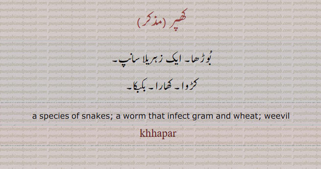 کھپر, زہریلا سانپ ,کھارا,بکبکا,کڑوا, بوڑھا۔,species of snakes. worm that infect fram wheat. weevil.khapar. khhapar., ,ਖਪਰ 
