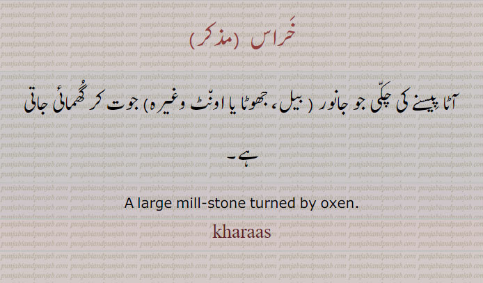  خراس,kharaas ਖਰਾਸ, کھراس
 آٹا پیسنے کی چکی جو جانور ( بیل، جھوٹا یا اونٹ وغیرہ) جوت کر گھمائی جاتی ہے۔
A large mill-stone turned by oxen. kharaas