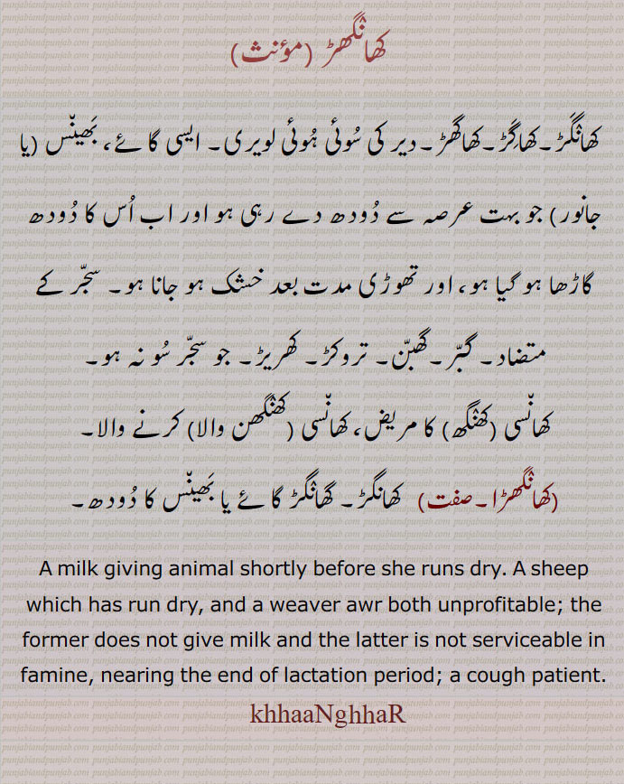  A milk giving animal shortly before she runs dry. A sheep which has run dry, and a weaver are both unprofitable; the former does not give milk and the latter is not serviceable in famine. nearing the end of lactation period. a cough patient.  ਖਾਂਗਡ਼, khangar, khhanghhar, khhangar ,khanghar, کھانگھڑ۔ کھاگڑ۔ کھاگھڑ۔ دیر سے سوئی ہوئی لویری۔ جس کا دودھ گاڑھا ہو گیا۔ گبر۔ گھبن۔ تروکڑ۔ کھریڑ۔ کھانسی۔ کھنگھ۔ کھنگھن والا۔ کھانگھڑا۔ کھنگڑ۔ کھانگڑ۔ گائے بھینس کا دودھ۔