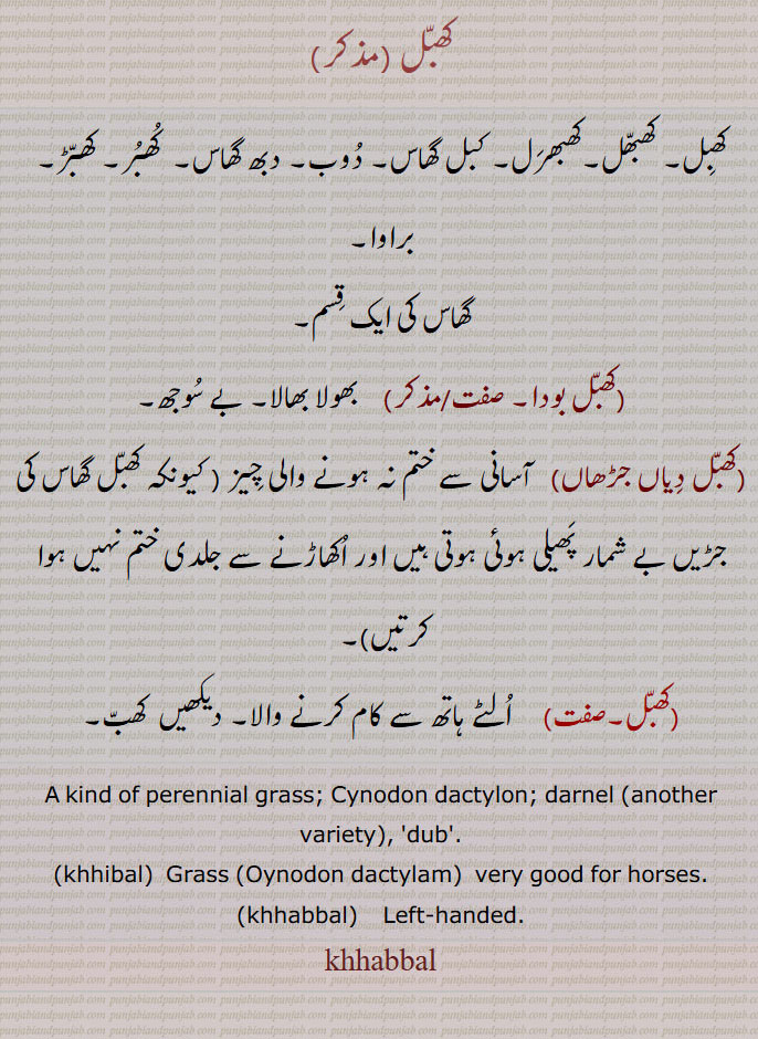 کھبل, کھبھل۔کھبھرل۔ کبل گھاس۔ دوب۔ دبھ گھاس۔  کھبر۔ کھبڑ۔ براوا۔
گھاس کی ایک قسم,کھبل بودا, بھولا بھالا۔ بے سوجھ,کھبل دیاں جڑھاں, آسانی سے ختم نہ ہونے والی چیز ( کیونکہ کھبل گھاس کی جڑیں بے شمار پھیلی ہوئی ہوتی ہیں اور اکھاڑنے سے جلدی ختم نہیں ہوا کرتیں), الٹے ہاتھ سے کام کرنے والا۔ دیکھیں  کھب۔
A kind of perennial grass; Cynodon dactylon; darnel (another variety), 'dub'.,khhibal,  Grass (Cynodon dactylam)  very good for horses.,khhabbal,   Left-handed., khabbal, khhabal, khabal, ਖੱਬਲ, khabbal,couch grass