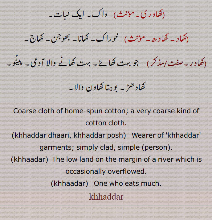 Coarse cloth of home-spun cotton; a very coarse kind of cotton cloth.،khhaddar dhaari, khhaddar posh,  Wearer of 'khhaddar' garments; simply clad, simple (person).,khhaadar,  The low land on the margin of a river which is occasionally overflowed.,khhaadar,   One who eats much.  khhaddar, ਖੱਦਰ, khhaddar dhaari, khhaddar posh, ਖੱਦਰਧਾਰੀ, ਖੱਦਰਪੋਸ਼, khhaadar, ਖਾਦਰ
