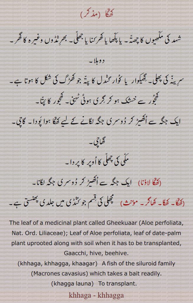 کھگا  ,شہد کی مکھیوں کا چھتہ۔ یا پکھا یا کھرکنا یا جھلی۔ بھرنڈوں وغیرہ کا گھر۔ دوہلا,سرینہ کی پھلی۔ گھیکوار  یا  کوار گندل کا پتہ جو کھڑگ کی شکل کا ہوتا ہے۔ کھجور سے خشک ہو کر گری ہوئی ٹہنی۔ کھجور کا پتا,ایک جگہ سے اکھیڑ کر دوسری جگہ لگانے کے لیے کھگا ہوا پودا۔ گاچی۔ گھاچی,مکی کی چھلی کا اوپر کا پردا,کھگا لاؤنا,  ایک جگہ سے اکھیڑ کر دوسری جگہ لگانا,کھگا۔ کھگا۔ کھاگر,  مچھلی کی قسم جو کنڈی میں جلدی پھنستی ہے۔
The leaf of a medicinal plant called Gheekuaar (Aloe perfoliata, Nat. Ord. Liliaceae); Leaf of Aloe perfoliata, leaf of date-palm
plant uprooted along with soil when it has to be transplanted, Gaacchi, hive, beehive., khhaga, khhagga, khaagar,   A fish of the siluroid family (Macrones cavasius) which takes a bait readily., khagga launa,   To transplant.   ,khhaga, khhagga, khaga, khagga, ਖੱਗਾ ਲਾਉਣਾ,
