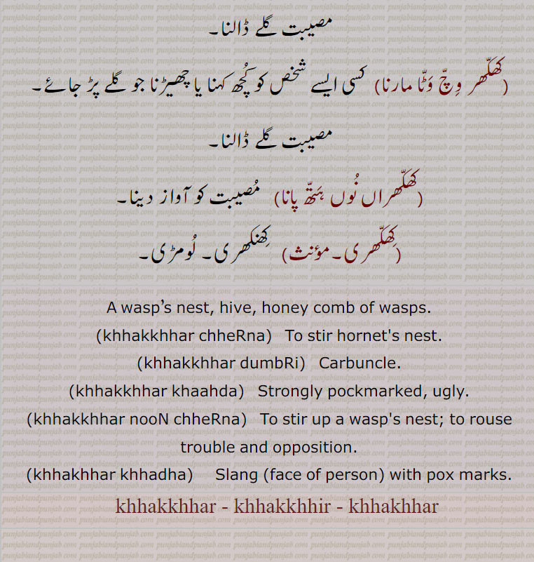 A wasp’s nest, hive, honey comb of wasps., khhakkhhar chheRna,  To stir hornet's nest., khhakkhhar dumbRi,    Carbuncle., khhakkhhar khaahda,   Strongly pockmarked, ugly., khhakkhhar nooN chheRna,  To stir up a wasp's nest; to rouse trouble and opposition., khhakhhar khhadha, Slang (face of person) with pox marks., khhakkhhar, khhakkhhir, khhakhhar,khhakkhhar chheRna,khhakkhhar dumbRi,khhakkhhar khaahda,khhakkhhar nooN chheRna,khhakhhar khhadha, ਖੱਖਰ ਖਾਧਾ ,khhakhhar cheRna, ਖੱਖਰ ਛੇੜਨੀ,  khakkhhar , khhakhir , khhakhhar, ਖੱਖਰ, khakkhar chheRna,khhakkhhar dumbRi,khhakkhhar khaahda,khhakkhhar nooN chheRna,khhakhhar khhadha,  ਖੱਖਰ ਖਾਧਾ ,khhakhhar cheRna,  ਖੱਖਰ ਛੇੜਨੀ, khhakkhhar , khhakkhhir , khhakhhar, ਖੱਖਰ, 