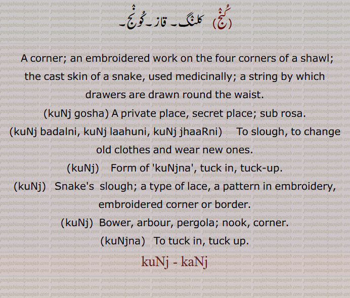 A corner; an embroidered work on the four corners of a shawl; the cast skin of a snake, used medicinally; a string by which drawers are drawn round the waist.,kuNj gosha, A private place, secret place; sub rosa.,kuNj badalni, kuNj laahuni, kuNj jhaaRni,  To slough, to change old clothes and wear new ones.,kuNj,   Form of 'kuNjna', tuck in, tuck-up.,kuNj,   Snake's  slough; a type of lace, a pattern in embroidery, embroidered corner or border.,kuNj,  Bower, arbour, pergola; nook, corner.,kuNjna,   To tuck in, tuck up.,kuNj - kaNj,ਕੁੰਜ ਝਾੜਨੀ ,ਕੁੰਜ ਲਾਹੁਣੀ ,  ਕੁੰਜਣਾ , ਕੁੰਜਣਾ, ਕੁੰਜ,
