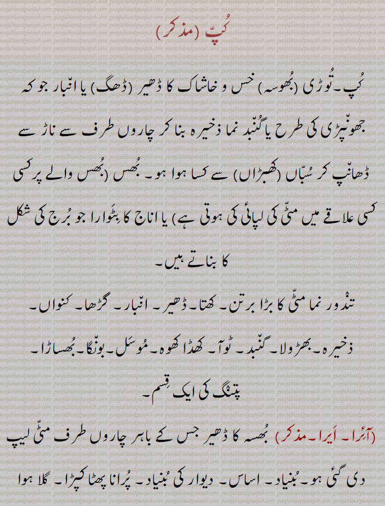 کُپّ,۔تُوڑی ,بُھوسہ,خس و خاشاک کا ڈھیر (ڈھگ) یا ان٘بار جو کہ جھون٘پڑی کی طرح یا گُن٘بد نما ذخیرہ بنا کر چاروں طرف سے ناڑ سے ڈھان٘پ کر سُبّاں (کھبڑاں) سے کسا ہوا ہو۔ بُھس (بُھس والے پرکسی کسی علاقے میں مٹّی کی لپائی کی ہوتی ہے) یا اناج کا بِٹَوارا جو بُرج کی شکل کا بناتے ہیں, تنٛدور نما مٹّی کا بڑا برتن۔ کھتا۔ڈھیر۔ ان٘بار۔ گڑھا۔ کنواں۔ ذخیرہ۔بھڑولا۔ گن٘بد۔ ٹوآ۔ کھڈا کھوہ۔مُوسَل۔بون٘گا۔بُھساڑا,پتنٛگ کی ایک قِسم,آئِرا۔ اَیرا۔,  بُھسہ کا ڈھیر جس کے باہر چاروں طرف مٹّی لیپ دی گئی ہو۔بُنیاد۔ اساس۔ دیوار کی بُنیاد۔ پُرانا پھٹا کپڑا۔ گلا ہوا کپڑا۔ بارش کا پانی روکنے کے لیے جو پُشتہ لگایا جائے۔ کھیت کا بنّا,بون٘گا, بھس وغیرہ کا مخروطی شکل کا حسب قاعدہ بنایا ہوا انبار جو برسات سے بچاؤ کے لیے عموماً دیہات میں بناتے ہیں,بھوہاڑا,بُھوسے کا کُپّ,مّوسَل, تُوڑی کا بانٛدھا ہوا کُپ۔لکڑی کا مُہلا,