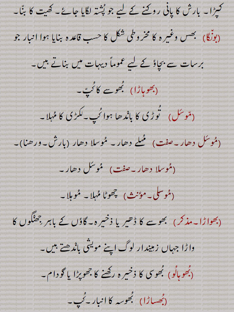 ,مُوسَل دھار,  مُہلے دھار۔ مُوسلا دھار (بارش۔ورھنا),مُوسلا دھار, مُوسَل دھار,مُوسلی,  چھوٹا مُہلا۔ مُوہلا,بھواڑا, بھوسے کا ڈھیر یا ذخیرہ۔گاؤں کے باہر جِھنٛگوں کا واڑا جہاں زمِیندار لوگ اپنے مویشی بانٛدھتے ہیں,بُھوہالُو,  بُھوسی کا ذخیرہ رکھنے کا جھوپڑا یا گودام,بُھساڑا, بُھوسہ کا انبار۔کُپ,دھڑ۔دِھڑ,  گاہنے کے بعد مِلے ہوئے دانوں اور تُوڑی کا ڈھیر۔ دھڑپّا۔ پُولٖیوں کی قطار۔سر کو چھوڑ کر باقی جسم,پسّا,خس و خاشاک کا بنایا ہوا کُپ جس میں غلّہ کا ڈھیر بنٛد ہوتا ہے۔کتائی کے بعد فصل کی اِکٹھی کی ہوئی بھرِیوں کا لگایا ہوا اُونچا ڈھیر۔ کھلوقاڑ۔ پسِینہ۔ انبار۔ ڈھیر۔ گہرا,پسّے, پسِینہ۔ کھلواڑے کے ڈھیر۔ (دیکھو: پسِجّنا۔ پسِیجنا)۔