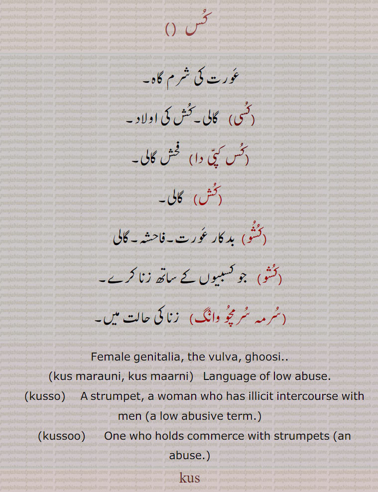 کس  ,
عورت کی شرم گاہ,کسی,   گالی۔کش کی اولاد,کس کپی دا),  فحش گالی۔
(کش,   گالی۔,کشو,  بدکار عورت۔فاحشہ۔گالی
,کشو,  جو کسبیوں کے ساتھ زنا کرے۔
,سرمہ سرمچو وانگ,   زنا کی حالت میں۔
Female genitalia, the vulva, ghoosi..
,kus marauni, kus maarni,  Language of low abuse.
   ,kusso,   A strumpet, a woman who has illicit intercourse with men (a low abusive term.),kussoo,     One who holds commerce with strumpets (an abuse.)
kus ، , abuse, swear word, abusive word, گالی ,slang,curse,Punjabi slang,gaali,gali , کس ,کسی,کس کپی دا,کش,کشو,سرمہ سرمچو وانگ, زنا ,Female genitalia, the vulva, ghoosi,kus marauni, kus maarni,kusso,kussoo, kus , kuss , ਕੁਸ,  ਕੁੱਸ,kusso,   ਕੁੱਸੋ ,kussoo,   ਕੁੱਸੂ,kus marauni, kus maarni,