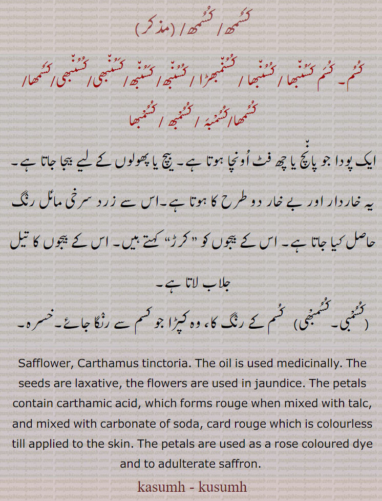 ਕਿਸਮ,ਕਸਨਬਾ,kusumh   ,ਕੁਸੁਮ੍ਹ , kusumbha, ਕੁਸੁੰਭਾ,karaR، ਕਰਡ਼, safflower. Carthamus tinctorius. oil  used mwdicinally. rose soloured dye adulterate saffron. karumh. kusumh.  پودا۔ کسمھ۔ کسم۔ کسنبھا۔ کسمبھڑا۔ کسنبھ۔ کسنبھی۔ کسمھا۔ کسمبہ۔ کسمبھ۔ کسمبھا۔ بیج اور پھول۔ خاردار۔ کرڑ۔ تیل جلاب کے لیے۔ کسم کا رنگ۔ خسرہ۔