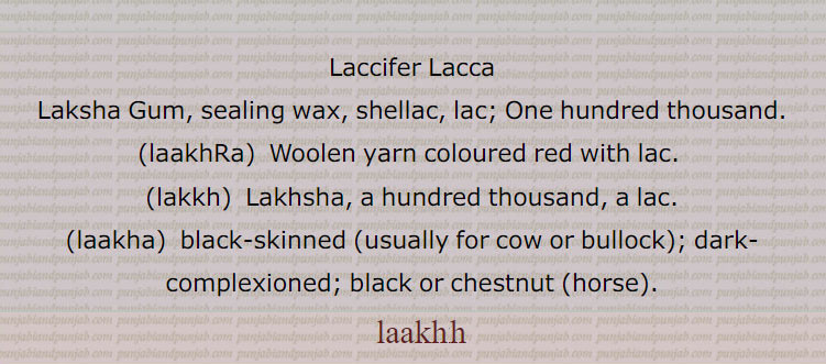 لاکھڑا,lakhRa,laakhRa,ਲਾਖੜਾ
One hundred thousand, a lac.  ਲਾਖ, ਲੱਖ,  laksha gum, sealing wax. shellac. lac. one hundred thousand. laakhra. lakhra. woolen yarn soloured red with lac. lakkh. lakhsha. hundred thousand. black skinned darl complexioned black chestnut. laakhh laakh, lakhh, lakh,  ਲਾੱਖਾ lakkha, ਲਾੱਖੀ laakkhi,  ਲੱਖੀ lakkhi,  ਲਾੱਖੀ laakkhi,ਲਾੱਖੀ, ,laccifer lacca,