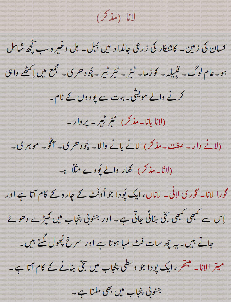 لانا ، کسان کی زمین۔ کاشتکار کی زرعی جائداد میں بیل۔ ہل وغیرہ سب کچھ شامل ہو۔عام لوگ۔ قبیلہ۔ کوڑما۔ ٹبر۔ ٹبر ٹیر۔چودھری۔ مجمع میں اکٹھے واہی کرنے والے مویشی۔بہت سے پودوں کے نام,لانا بانا, ٹبر ٹیر۔ پروار,لانے دار, لانے بانے والا۔ چودھری۔ آگو۔ موہری,لانا,   کھار والے پودے,گورا لانا۔ گوری لانی۔ لاناں، ایک پودا جو اونٹ کے چارہ کے کام آتا ہے اور اس سے کبھی کبھی سجی بنائی جاتی ہے۔ اور جنوبی پنجاب میں کپڑے دھوئے جاتے ہیں۔یہ چھ سات فٹ لمبا ہوتا ہے اور سرخ پھول لگتے ہیں۔
میتر الانا۔ میتھر، ایک پودا جو وسطی پنجاب میں سجی بنانے کے کام آتا ہے۔ جنوبی پنجاب میں بھی ملتا ہے,پھیسک لانے۔ چھوٹی لانے۔