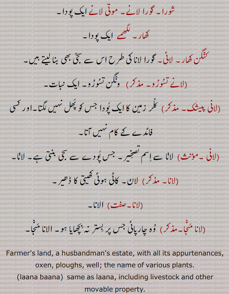  موتی لانے ایک پودا۔
کھار۔ لگھمے  ایک پودا,کنگن کھار۔ لائی۔ گورا لانا کی طرح اس سے سجی بھی بنا لیتے ہیں,لانے تسورو, ونگن تسورو۔ ایک نبات,لانی پیشک,  کلر زمین کا ایک پودا جس کو پھل نہیں لگتا۔اور کسی فائدے کے کام نہیں آتا,لانی ,لانا سے اسم تصخیر۔ جس پودے سے سجی بنتی ہے۔ لانا,لانا, لان۔ کاٹی ہوئی کھیتی کا ڈھیر,لانا,  الانا,لانا منجا, وہ چارپائی جس پر بستر نہ بچھایا ہو۔ الانا منجا۔,
