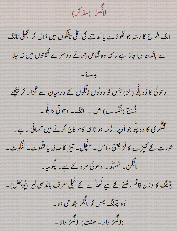 ,لانگڑ ,لانگڑ دار,لانگڑ لاؤنا ,لانگڑاں لمکنا,,لانگڑی ,تہبند,,لانگن ,پگولیا ,لانگ ,لڑ ,رسی دھوتی کا پلو ایک طرح کا رسہ جو جانور کو باندھا جاتا ہے ٹانگوں میں تاکہ وہ دوسرے کے کھیت میں نہ جاسکے۔دھوتی کا پلو جو دونوں ٹانگوں کے درمیان سے گزرتا ہے۔  لانگ۔گھگری کا پلو ۔ عورت کے کپڑوں کا لڑ دامن۔ آنچل۔ تیڑ کا صافہ۔ لنگوٹ۔ لانگن۔ پگولیا۔ دھوتی۔ پتنگ کا وزن قائم رکھنے کے لیے ٹھڈے کے نیچے باندھی لیر پوچھل۔ لانگڑ والا لانگڑ دار۔لانگڑاں لمکنا۔ لیراں لمکنا۔ کپڑے کی لیر۔ لانگڑی۔ 