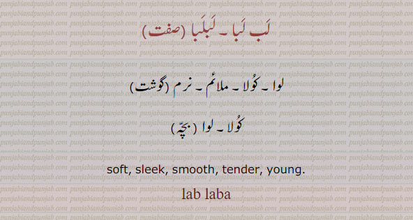 
soft. sleek. smooth. tender. oung. lab laba.،ਪੰਚਰੈੱਸ، لب لبا۔ لبلبا۔ لوا۔ کولا۔ ملائم۔ نرم گوشت۔ کولا۔ لوا بچہ۔