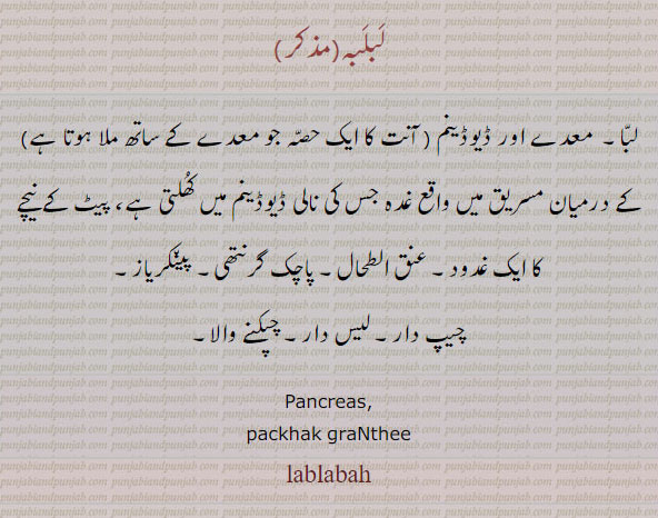 ,لب لبا, لبلبہ, پاچک گرنتھی ,ਪੰਚਰੈੱਸ ,lab
لبا۔ پیٹ کے نیچے کا غدود۔ عنق الطحال۔ پاچک گرنتھِ۔ پینکریاز۔ چیپ دار۔ لیس دار۔ چپکنے والا۔
pancreas. packhak. franthee. lablabah