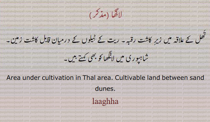 lagha,لاگھا, لانگھا۔, laanghha.laaghha,laagha,
لاگھا۔ تھل کے علاقہ میں زیر کاشت رقبہ۔ ریت کے ٹیلوں کے درمیان قابل کاشت زمین۔
Lagha. Area under cultivation in Thal area. Cultivable land between sand dunes., ਲਾਘਾ