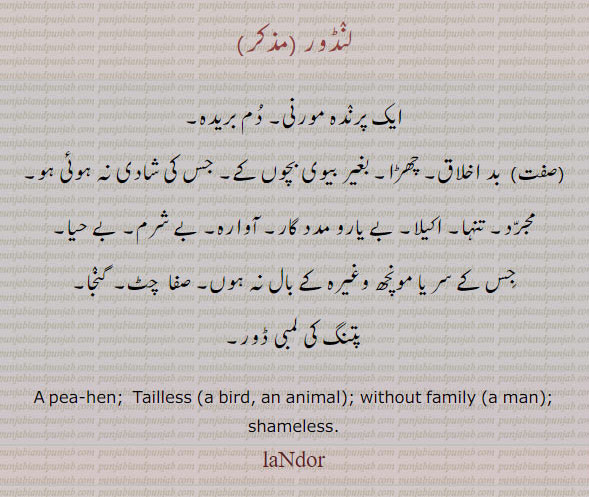 ,لنڈور,landor,ਲੰਡੋਰ,مورنی,مجرد,لمبی ڈور,,pea hen. tailless. bird. animelss. withouit family man. بغیر بیوی بچے۔ بے شرم۔ بے حیا۔ صفا چٹ۔ گنجا۔ پتنگ کی ڈور۔