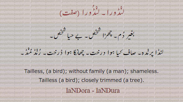   ,لنڈورا ,landora,ਲੰਡੋਰਾ,چھڑا,چھانگا درخت، لنڈا پرندہ۔ بغیر دم ۔ بے حیا شخص۔ , tailless bird. withot family. shameless. closely trimmed tree.,رنڈمنڈ,ਲੰਡੂਰਾ,landura