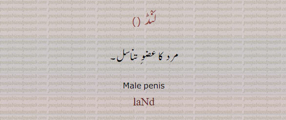  لنڈ,land,ਲੰਡ,عضو تناسل مرد کا ,penis