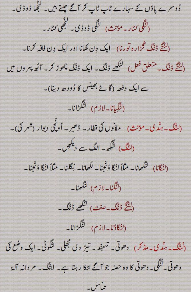  مکانوں کی قطار۔ ڈھیر۔ اونچی دیوار ,شہر کی,لنگ,  لنگھ,لنگانا,   لنگھانا۔ مثلاً لنگا ونجنا۔ لگھانا۔ نگلنا۔ مثلاً لنگا ونجنا,لنگنا۔لازم,  لنگھنا,لنگے ڈنگ۔,  لنگھے ڈنگ,لنگاؤنا,لنگڑانا,لنگ,  دھوتی۔ تہبند۔ تیڑ دی مجھلی۔ لنگوٹی۔ ایک وضع کی دھوتی۔لنگی۔دھوتی کا وہ حصہ جو آگے لٹکا رہتا ہے۔ لانگ۔ مردانہ آلۂ تناسل۔
,لنگ۔,   شاخوں کا اگلا نرم حصہ۔ لانگی۔ کرونبل,لنگا,   لنگ مارنے والا۔ لنگڑا۔ لولا,لنگا ڈوریا۔,   بچوں کا ایک کھیل جس میں وہ ایک ٹانگ پر دوڑتے ہیں۔