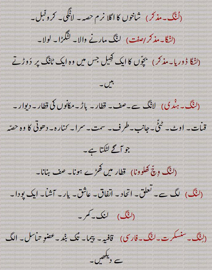 ,لنگ۔   لانگ سے۔صف۔ قطار۔ باڑ۔مکانوں کی قطار۔دیوار۔ قنات۔ اوٹ۔ ٹٹی۔جانب۔طرف۔ سمت۔سرا۔ کنارہ۔دھوتی کا وہ حصہ جو آگے لٹکتا ہے,لنگ وچ کھلوونا,   قطار میں کھڑے ہونا۔ صف بنانا۔
,لنگ,   لگ سے۔ تعلق۔ اتحاد۔ اتفاق۔ عاشق۔ یار۔ آشنا۔ ایک پودا۔
,لنگ,     لنک۔کمر,لنگ,   قافیہ۔ پیما۔ تک بند۔عضو تناسل,