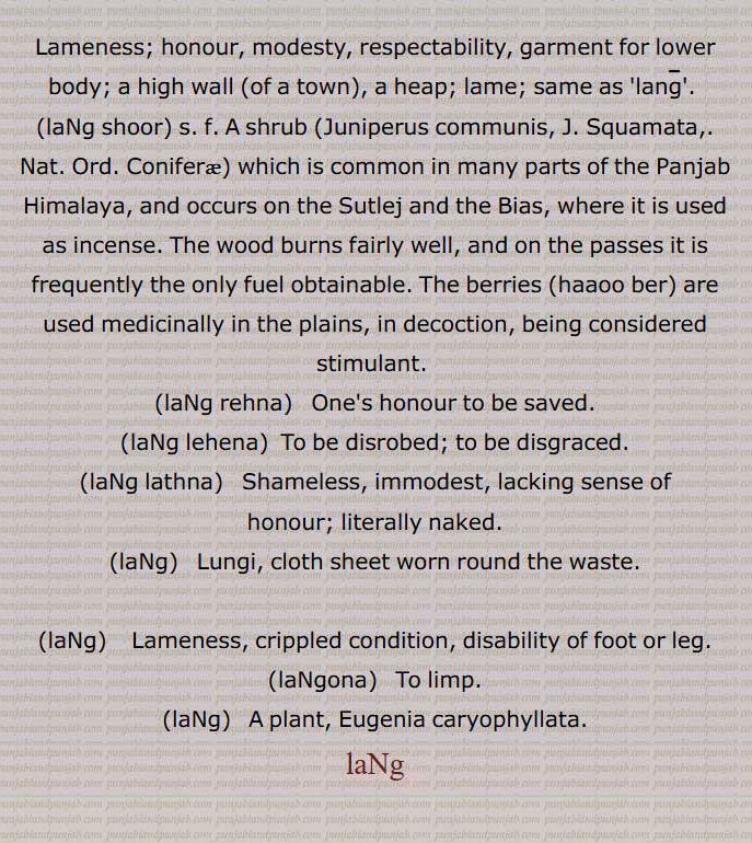 Lameness; honour, modesty, respectability, garment for lower body; a high wall ,of a town,, a heap; lame; same as 'lang'. 
,laNg shoor, s. f. A shrub ,Juniperus communis, J. Squamata,. Nat. Ord. Coniferae, which is common in many parts of the Panjab Himalaya, and occurs on the Sutlej and the Bias, where it is used as incense. The wood burns fairly well, and on the passes it is frequently the only fuel obtainable. The berries ,haaoo ber, are used medicinally in the plains, in decoction, being considered stimulant. ,laNg rehna,   One's honour to be saved.
,laNg lehena,  To be disrobed; to be disgraced.,laNg lathna,   Shameless, immodest, lacking sense of honour; literally naked.
,laNg,   Lungi, cloth sheet worn round the waste. ,laNg,    Lameness, crippled condition, disability of foot or leg.
,laNgona,   To limp. ,laNg,   A plant, Eugenia caryophyllata.,  lame, same as ,ਲੰਙ,laNg shoor, shrub,Juniperus communis,laNg rehna, ਲੰਗ ਰਹਿਣਾ ,laNg lehena, ਲੰਗ ਲਹਿਣਾ,To be disrobed; to be disgraced,laNg lathna, ਲੰਗ ਲੱਥਾ, Shameless, immodest, literally naked,laNg,laNg, ਲੰਙ ,Lameness, crippled condition, disability of foot or leg,laNgona, ਲੰਙਾਉਣਾ , لنگاؤنا, to limp, Eugenia caryophyllata,laNg, ਲੰਗ ,ਲੰਙ, ਲੰਙਾ,