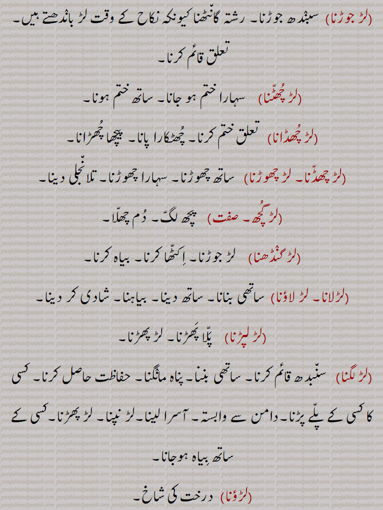 لڑ جوڑنا۔ رشتہ ہونا نکاح  کے وقت لڑ باندھنا۔ لڑ چھٹنا۔ سہارا ختم ہو جانا۔ لڑ چھڈانا۔ تعلق ختم  کرنا۔ پیچھا چھڑانا۔لڑ چھڈانا۔ لڑ چھڈنا۔ لڑ چھوڑنا۔ ساتھ چھوڑنا۔ تلا نجلی دینا۔ لڑ گچھ۔ پچھ لگ۔ دم چھلا۔ لڑ گنڈھنا۔ لڑ جوڑنا۔ بیاہ کرنا۔ لڑ لانا۔ لڑ لاؤنا۔ ساتھِ بنانا۔ بیاہنا۔ شادی کرنا۔ لڑ لپڑنا۔ لڑ پھڑنا۔ پلا پھڑنا۔ لڑ لگنا۔ ساتھی بننا پناہ مانگنا۔ دامن سے وابستہ۔ لڑ پھڑنا۔ لڑؤنا۔ درخت کی شاخ۔ لڑ نپنا۔ لڑی۔ لٹکی چیز۔ پرؤئے موتی۔ پھول کلیاں کا ہار۔ کنٹھی۔ دھاگا جس میں موتی پرؤئے ۔آگے پیچھے آنے کا سلسلہ۔ رشتہ۔ ڈوری۔ پنا لچھِ۔ بیڑی کا ونجھ۔ خوشی۔ سکھ۔ اعزاز۔ لڑی جو ڈولے میں باہیوں کے درمیان باندھتے ہیں کرم