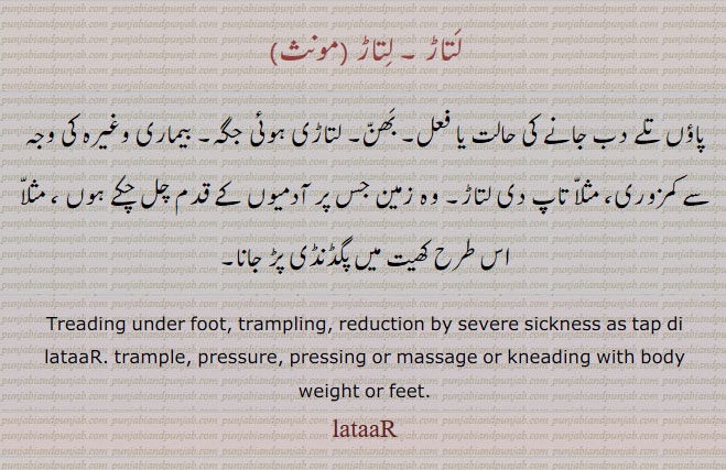 لتاڑ,latar,lataar,ਲਤਾੜ, ਲਤਾਡ਼, Treading under foot, trampling, (met.) reduction by severe sickness as tap da latar.To tread down, to trample under foot, to reduce, to bring low.ਲਤਾਡ਼ਣਾ latarna,