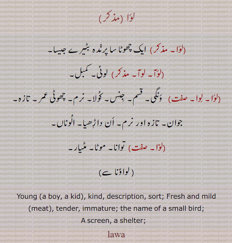 ,ਲਵਾ,lava,lawwa,   A screen, a shelter; the name of a small bird;   kind, description, sort;—a. Fresh and mild (meat);  young (a boy, a kid.), لوا۔ چھوٹا پرندہ۔ لوآ۔ لوئی ۔کمبل۔ ونگی۔ قسم جنس۔ کولا۔ نرم۔ چھوٹی عمر۔ تازہ۔ جوان۔ ان داڑھیا۔ الوناں۔ توانا۔ موٹا۔ مٹیار۔ لواؤنا سے۔