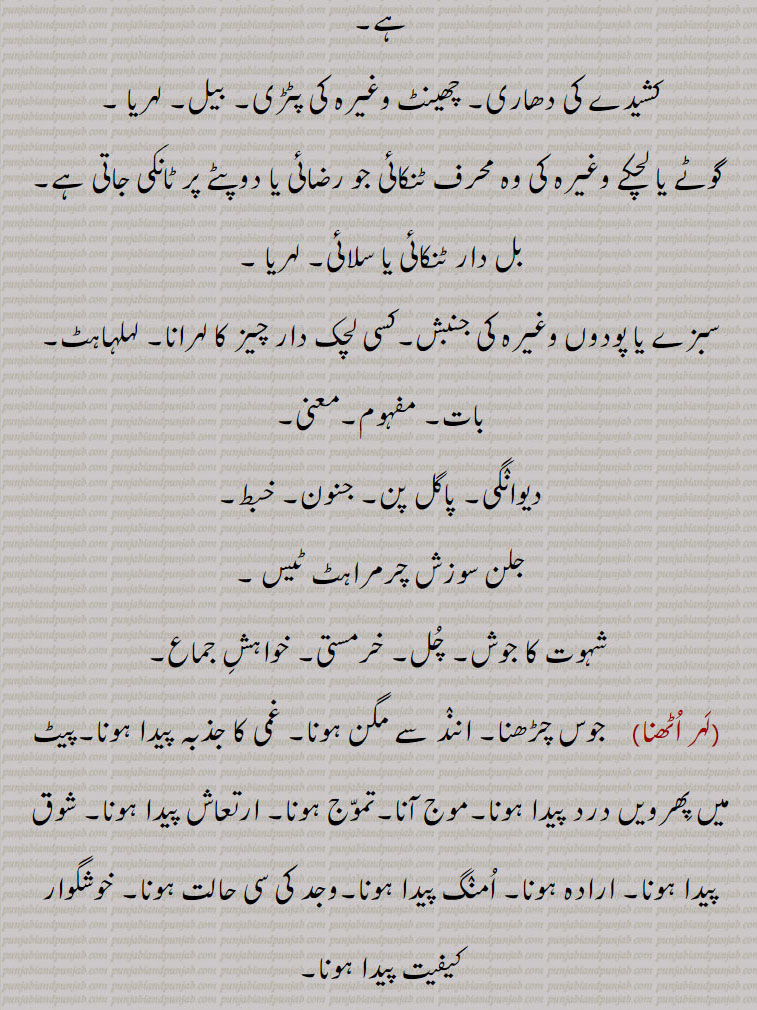 لہریا,lahriya,ਲਹਰਿਯਾ ,لہر اٹھنا,لہر آنا۔ لہر اچھنا, لہر بہر۔لہر بحر,لہر بہر لگنا,لہر بہر ہوجانا,لہر پیڽا,لہر و لہر,لہرا,لہراں مارنا,لہراں اٹھنا,لہراں گننا,لہراں لانا,لہراں لگنا,لہراں لگنا,لہراں نال گھلنا,لہراوَ جاونا,لہرانا,لہراوٹ,لہراؤ,لہرنا,لہرن,لہری,ہرے,لہرے لٹنا,لہرے لینا,لہریا,لہریا,لہریا بنانا,لہریئے دار, کشیدے کی دھاری۔ چھینٹ کی پٹری۔ بیل ۔ گوٹے  لچکے کی محرف۔ بل دار ٹنکائی سلائِ۔ پودے کی جنبش۔ لہلہاہٹ۔ مفہوم۔ معنی۔ دیونگی۔ پاگل پن۔ جنون۔ خبط۔ چرمراہٹ۔ شہوت کا جوش۔ چل۔ خرمستی۔ خواہش جماع۔غمی کا جذبہ۔پیٹ میں درد۔ تموج۔ شوق پیدا وجد۔ شوق ارادہ۔
