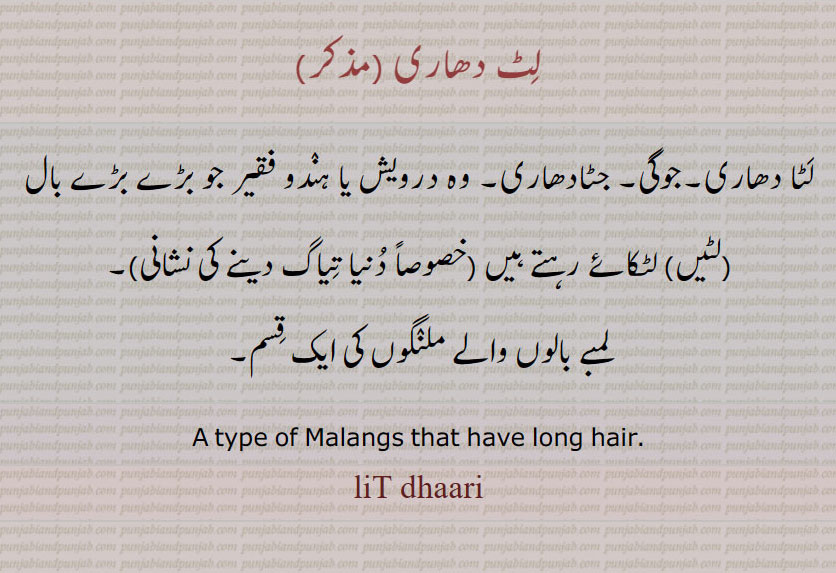 لٹ دھاری , لٹا دھاری۔جوگی۔ جٹادھاری۔ وہ درویش یا ہندو فقیر جو بڑے بڑے بال (لٹیں) لٹکائے رہتے ہیں,دنیا تیاگ دینے کی نشانی,
لمبے بالوں والے ملنگوں کی ایک قسم۔
A type of Malangs that have long hair. liT dhaari, liT dhari, ਲਿਟ ਧਾਰੀ, latadhari,jatadhari,