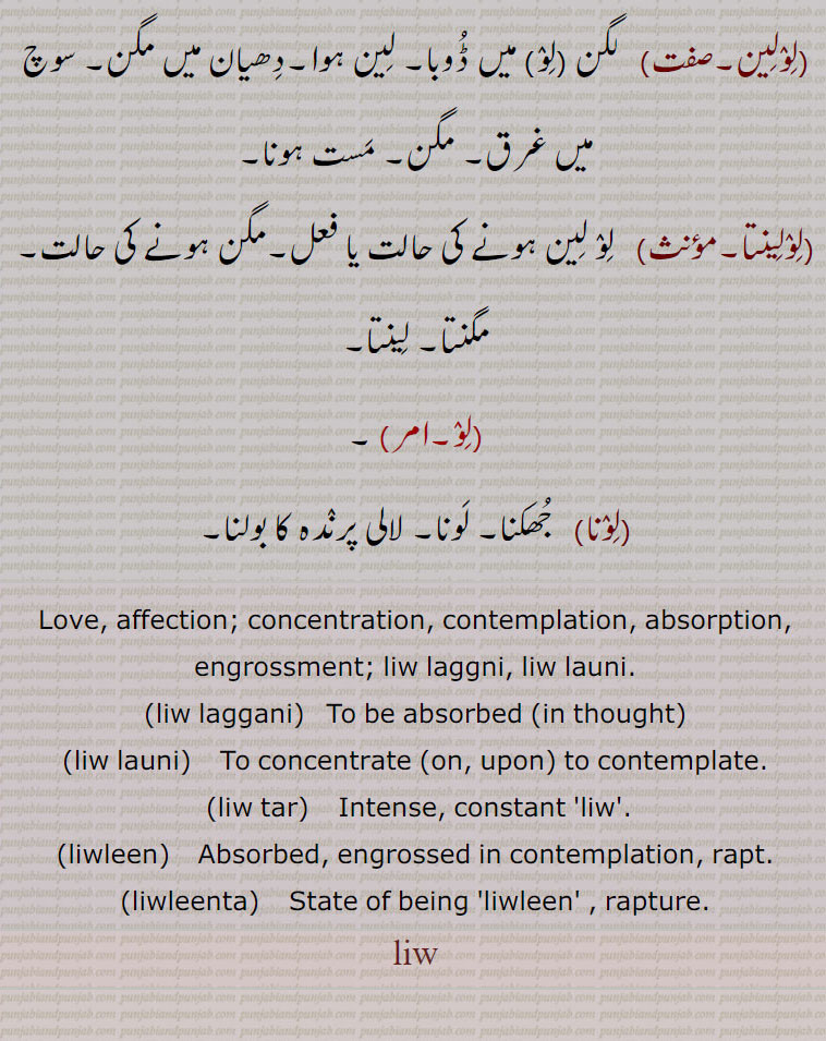 Love, affection; concentration, contemplation, absorption,
engrossment; liw laggni, liw launi. ,liw laggani,   To be absorbed ,in thought,,liw launi,    To concentrate ,on, upon, to  contemplate.,liw tar,    Intense, constant 'liw'.,liwleen,    Absorbed, engrossed in contemplation, rapt.,liwleenta,    State of being 'liwleen' , rapture., liw,  ਲਿਵ ਲੱਗਣੀ,ਲਿਵ ਲਾਉਣੀ, ਲਿਵਤਾਰ, ਲਿਵਲੀਨ, ਲਿਵਲੀਨਤਾ ,