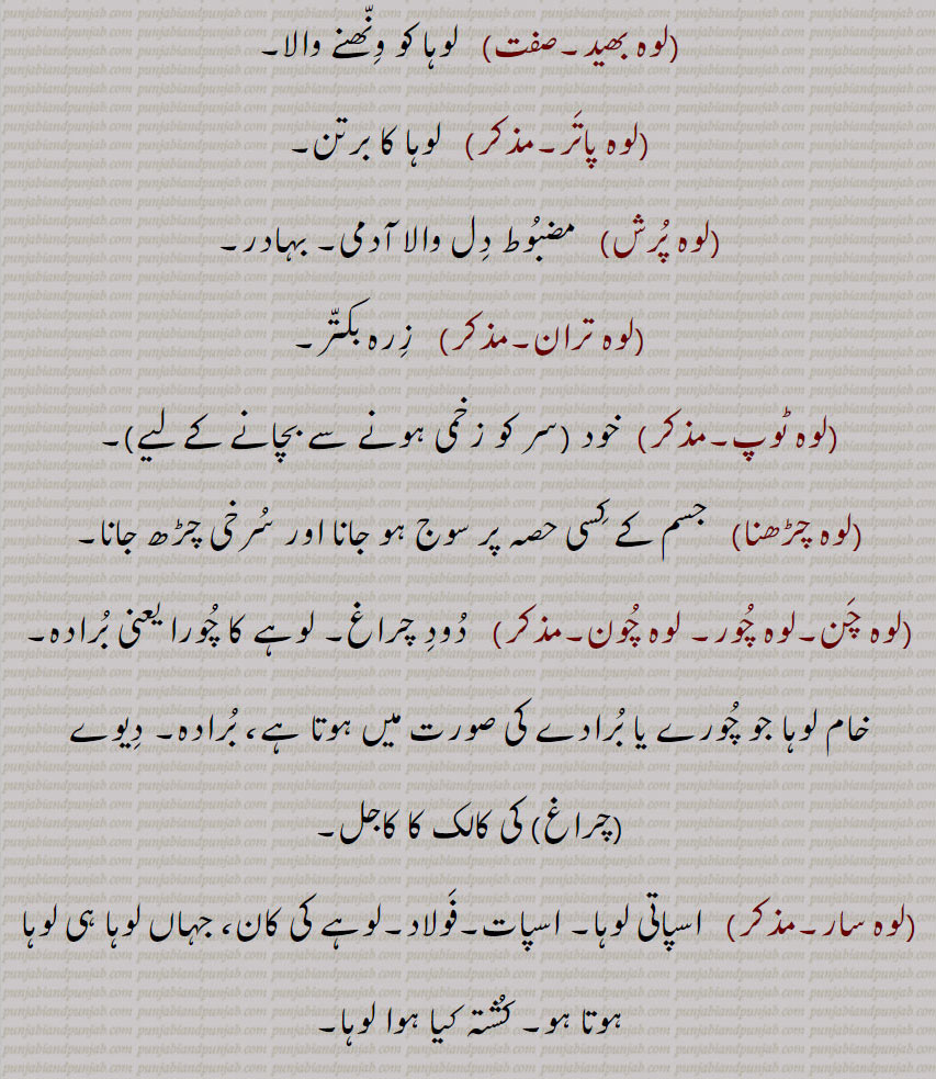 لوہ پاتر,  لوہا کا برتن,لوہ پرش,   مضبوط دل والا آدمی۔ بہادر۔
,لوہ تران,  زرہ بکتر,لوہ ٹوپ, خود ,سر کو زخمی ہونے سے بچانے کے لیے,۔
,لوہ چڑھنا,   جسم کے کسی حصہ پر سوج ہو جانا اور سرخی چڑھ جانا۔
,لوہ چن۔لوہ چور۔ لوہ چون۔,,   دود چراغ۔ لوہے کا چورا یعنی برادہ۔خام لوہا جو چورے یا برادے کی صورت میں ہوتا ہے، برادہ۔ دیوے ,چراغ, کی کالک کا کاجل,
,لوہ سار, اسپاتی لوہا۔ اسپات۔فولاد۔لوہے کی کان، جہاں لوہا ہی لوہا ہوتا ہو۔ کشتہ کیا ہوا لوہا,لوہ سکھاناں, لوہے یا فولاد وغیرہ کا میل جو دواؤں میں استعمال ہوتا ہے۔ریم آہن۔خبث الحدید,لوہ کار۔لوہ کٹ, لوہار۔ لہار۔
,لوہ کن, 