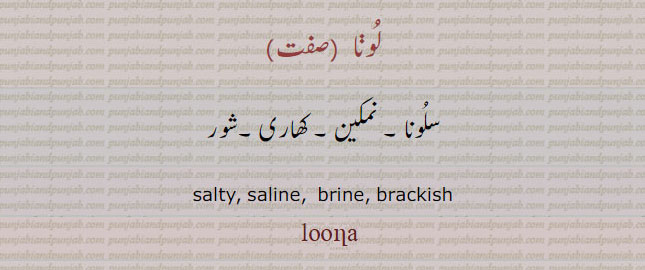 ونا,ਲੂਣਾ,salty. salinw. brine. brackish. loona. luna. لُونا۔ لونا۔ سلونا۔ نمکین۔ کھاری۔ شور۔ ,