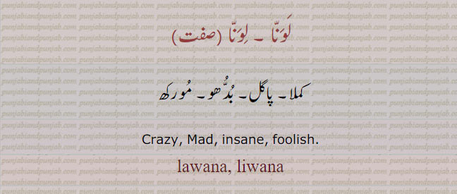 ਲਵਣਾ lawana. liwana. crazy. mad. insane. foolish.lavana. livana. کملا۔ پاگل۔ بدھو۔ مورکھ۔ لونا۔لوَنا۔
