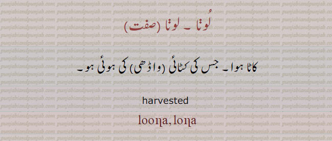 ਲੂਣਾ, loona, luna. harvested. کاٹا ہوا۔ جس کی کٹائی واڈھی کی ہوئی ہو۔ لُونا۔ لونا۔