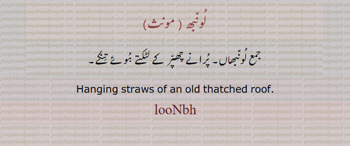 ਲੂਂਭ, ਲੂਂਭਾਂ, لونبھ۔ لونبھاں۔ پرانے چھپر کے لٹکتے تنکے۔ , loonbh. loonbhaan. lunbh. lunbhaan. lunbhan. loonbhan. 
 Hanging straws of an old thatched roof. 