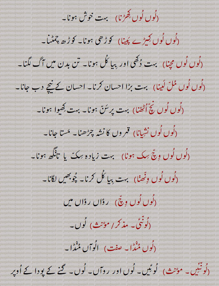 لوں لوں کھڑنا۔ لوں لوں کیڑے پینا۔ کوڑھی ہونا۔ لوں لوں مچنا۔ لوں لوں مل لینا۔ لوں لوں نچ اٹھنا۔ لوں لوں نشیانا۔ مستا جانا۔ لوں لوں وچ سک ہونا۔ لوں لوں ونھنا۔لوں لوں وچ۔ لونئی ۔لوں منڈا۔ لونئیں۔ لوئیں۔ روآں۔ ،
لونواں۔ لونواں کھلیاں ہونا۔ لونئی کنڈے اونا۔لوں کنڈے ہوناگنے کے پودے کے اوپر کھار رین۔کنڈٛ