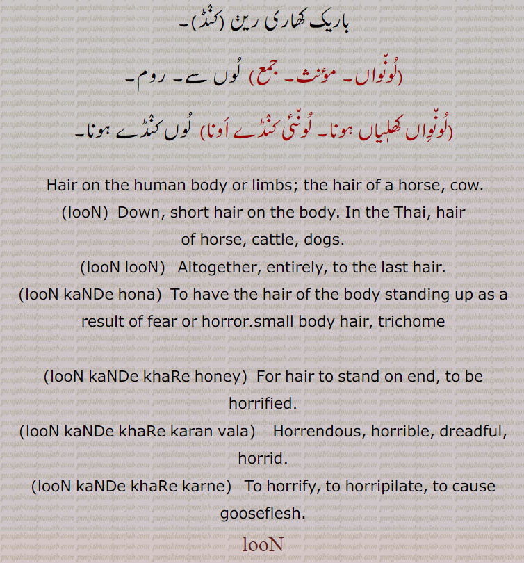 ਲੂੰ,Hair on the human body or limbs; the hair of a horse, cow.
To have the hair of the body standing up as a result of fear or horror. horrendous, horrible, dreadful, horrid, ਲੂੰ ਕੰਡੇ ਖੜ੍ਹੇ ਕਰਨ ਵਾਲ਼ਾ, لُوں کنڈے کھڑھے کرن والا,  
ਲੂੰ ਕੰਡੇ ਖੜ੍ਹੇ ਕਰਨ ਵਾਲ਼ਾلُوں کنڈے کھڑھے کرن والا
,horrendous, horrible, dreadful, horrid,ਲੂੰ ਕੰਡੇ ਖੜ੍ਹੇ ਹੋਣੇ,لُوں کنڈے کھڑھے ہونے
,for hair to stand on end, to be horrified,to horrify, to horripilate, to cause gooseflesh,loon. lun. loon loon.  loon kande hona. loon kande khare honey. loon kande khare karan wala. loon kande khare karne.lun. lun. lun loon.  lun kande hona. lun kande khare honey. lun kande khare karan wala. lun kande khare karne. Down, short hair on the body. In the Thai, hair of horse, cattle, dogs. Altogether, entirely, to the last hair

