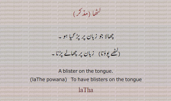 لٹھا ,چھالا جو زبان پر پڑ گیا ہو,لٹھے پوونا, زبان پر چھالے پڑنا۔
A blister on the tongue. laThe powana,To have blisters on the tongue, laTha, laTTh, ਲੱਠਾ latha,  ਲਥ,ਲਠਾ