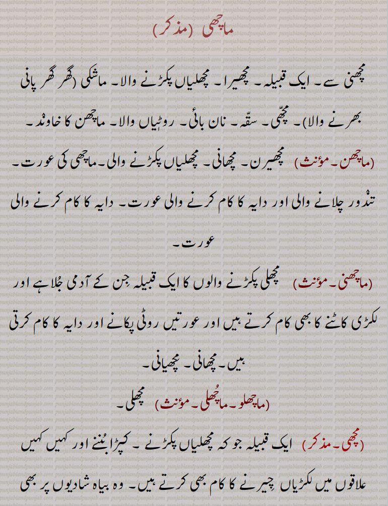 ماچھی,مچھنی سے۔ ایک قبیلہ۔ مچھیرا۔ مچھلیاں پکڑنے والا۔ ماشکی ,گھر گھر پانی بھرنے والا, مچھی۔ سقہ۔ نان بائی۔ روٹٖیاں والا۔ ماچھن کا خاوند,ماچھن,مچھیرن۔ مچھانی۔ مچھلیاں پکڑنے والی۔ماچھی کی عورت۔ تندور چلانے والی اور دایہ کا کام کرنے والی عورت۔ دایہ کا کام کرنے والی عورت,ماچھنی,مچھلی پکڑنے والوں کا ایک قبیلہ جن کے آدمی جلاہے اور لکڑی کاٹنے کا بھی کام کرتے ہیں اور عورتیں روٹی پکانے اور دایہ کا کام کرتی ہیں۔مچھانی۔ مچھیانی,ماچھلو۔ماچھلی, مچھلی,مچھی, ایک قبیلہ جو کہ مچھلیاں پکڑنے ۔ کپڑا بننے اور کہیں کہیں علاقوں میں لکڑیاں  چیرنے کا کام بھی کرتے ہیں۔ وہ بیاہ شادیوں پر بھی خدمت انجام دیتے ہیں۔ 