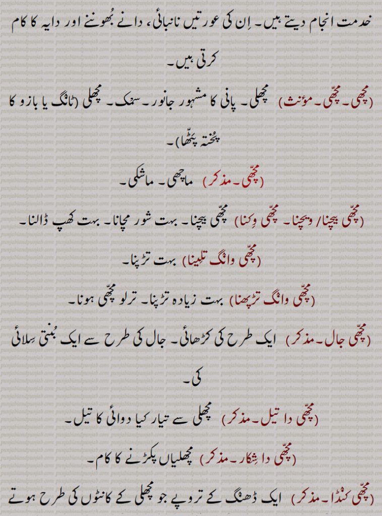 ان کی عورتیں نانبائی، دانے بھوننے اور دایہ کا کام کرتی ہیں,مچھی۔مچھی,  مچھلی۔ پانی کا مشہور جانور۔سمْک۔ مچھلی,ٹانگ یا بازو کا پختہ پٹھا,مچھی,  ماچھی۔ ماشکی,مچھی بیچنا,مچھی۔ مچھی وکنا, مچھی بیچنا۔ بہت شور مچانا۔ بہت کھپ ڈالنا,مچھی وانگ تلینا, بہت تڑپنا,مچھی وانگ تڑپھنا, بہت زیادہ تڑپنا۔ ترلو مچھی ہونا,مچھی جال, ایک طرح کی کڑھائی۔ جال کی طرح سے ایک بنتی سلائی کی,مچھی دا تیل, مچھلی سے تیار کیا دوائی کا تیل,مچھی دا شکار, مچھلیاں پکڑنے کا کام,مچھی کنڈا, ایک ڈھنگ کے تروپے جو مچھلی کے کانٹوں کی طرح ہوتے ہیں۔